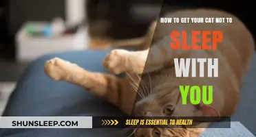 Tips to Gently Encourage Your Cat to Sleep Elsewhere