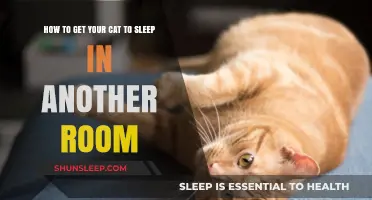 Train Your Cat to Sleep in Another Room: Tips and Tricks
