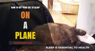 Purr-fect Flights: Tips for Getting Your Cat to Sleep on a Plane