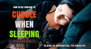 Cozy Canine Tips: Encouraging Your Dog to Cuddle at Night
