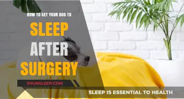 Helping Your Dog Rest Comfortably After Surgery: Tips for Peaceful Recovery