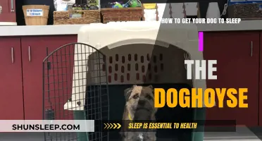 Train Your Dog to Love Sleeping in Their Doghouse: Tips and Tricks