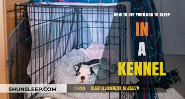 Train Your Dog to Love Sleeping in a Kennel: Tips & Tricks