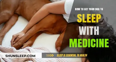 Helping Your Dog Sleep Peacefully: A Guide to Using Medicine Safely