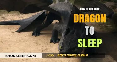 Taming Nighttime: Gentle Techniques to Help Your Dragon Sleep Peacefully