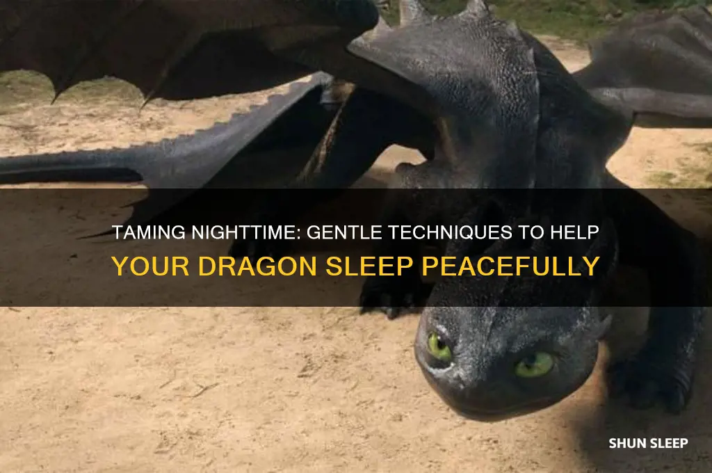 how to get your dragon to sleep