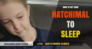 Calm Your Hatchimal: Simple Tips for a Peaceful Sleep Routine