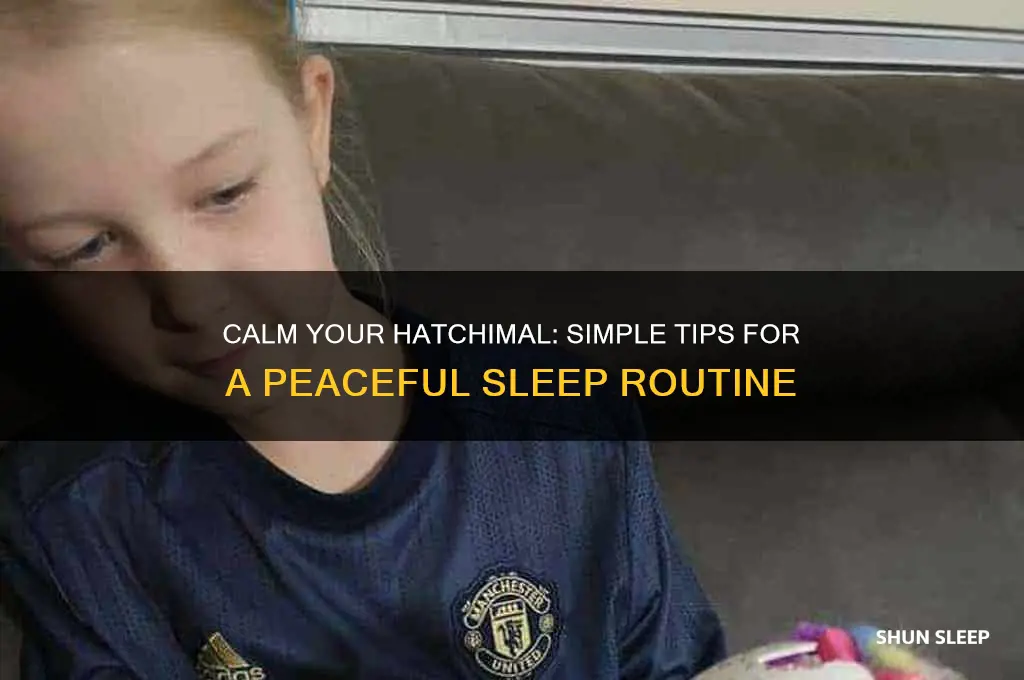 how to get your hatchimal to sleep