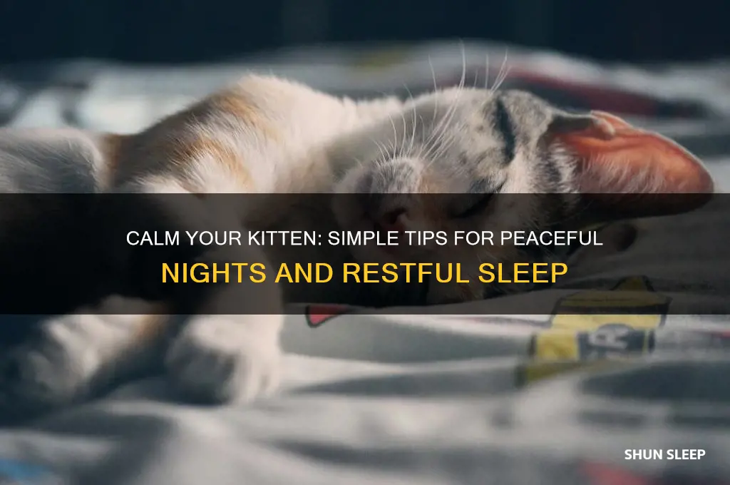 how to get your kitten to go to sleep
