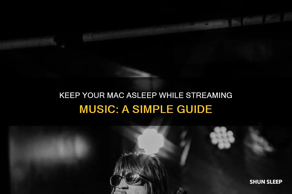 how to get your mac to sleep but play music