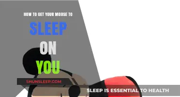 Cozy Mouse Bonding: Tips to Get Your Mouse to Sleep on You