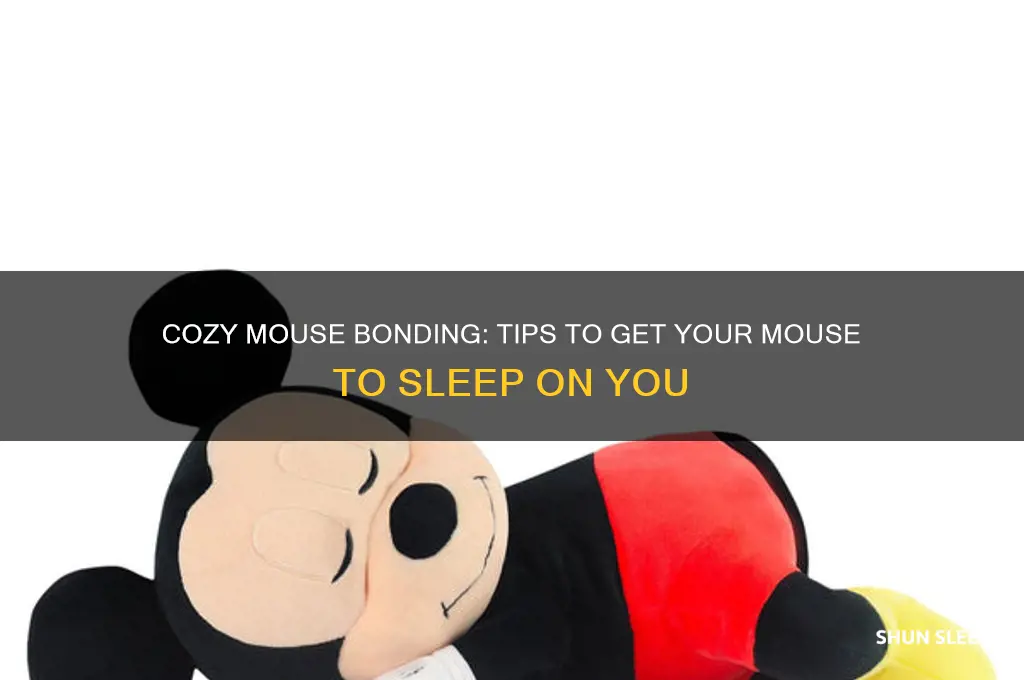 how to get your mouse to sleep on you