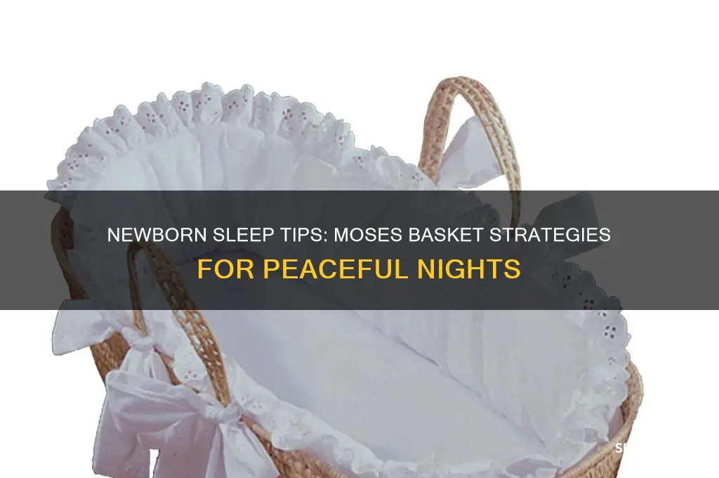 how to get your newborn to sleep in moses basket
