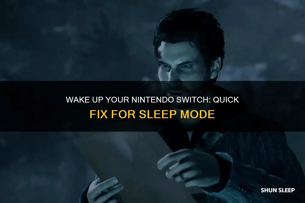 how to get your nintendo switch out of sleep mode