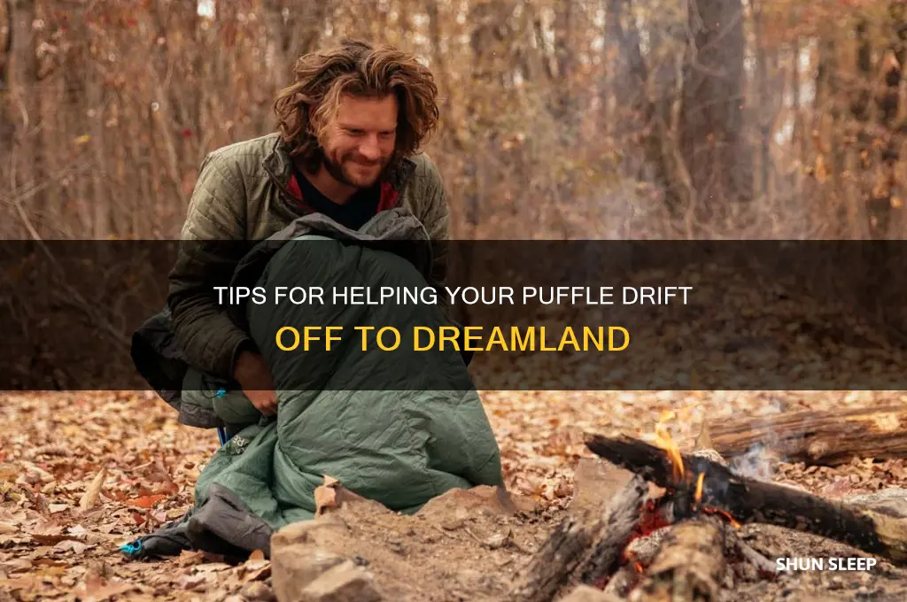 how to get your puffle to sleep