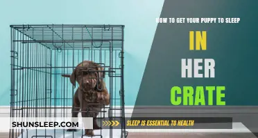 Crate Training Tips: Helping Your Puppy Sleep Peacefully in Her Crate