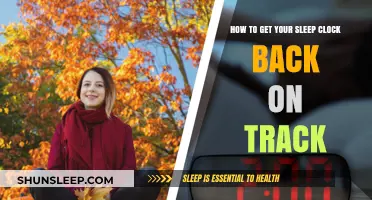 Reset Your Sleep Clock: Tips to Restore Healthy Sleep Patterns
