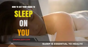 Cozy Bonding Tips: Getting Your Snake to Sleep Comfortably on You