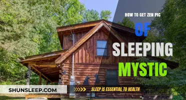Capture Serenity: Tips for Photographing a Sleeping Mystic's Zen Moment