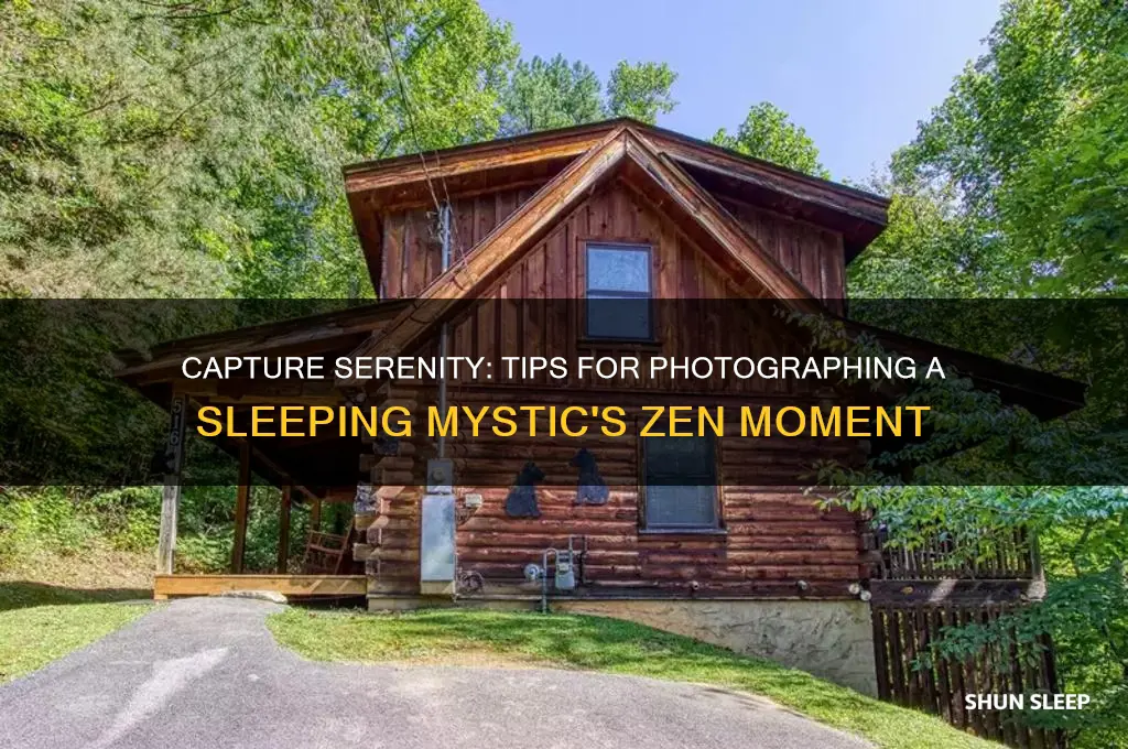 how to get zen pic of sleeping mystic