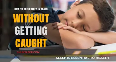 Mastering the Art of Sneaky Naps: Sleep in Class Undetected