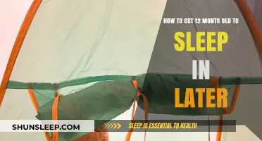 Getting Toddlers to Sleep In: A Guide for Parents
