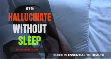 Hallucinate Without Sleep: The Mind's Eye Open