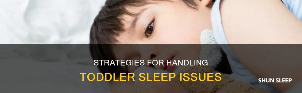 how to handle toddler sleep issues 3 year old
