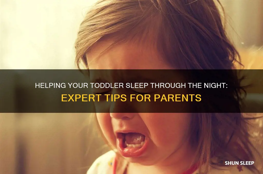 how to help 1 year old sleep all night