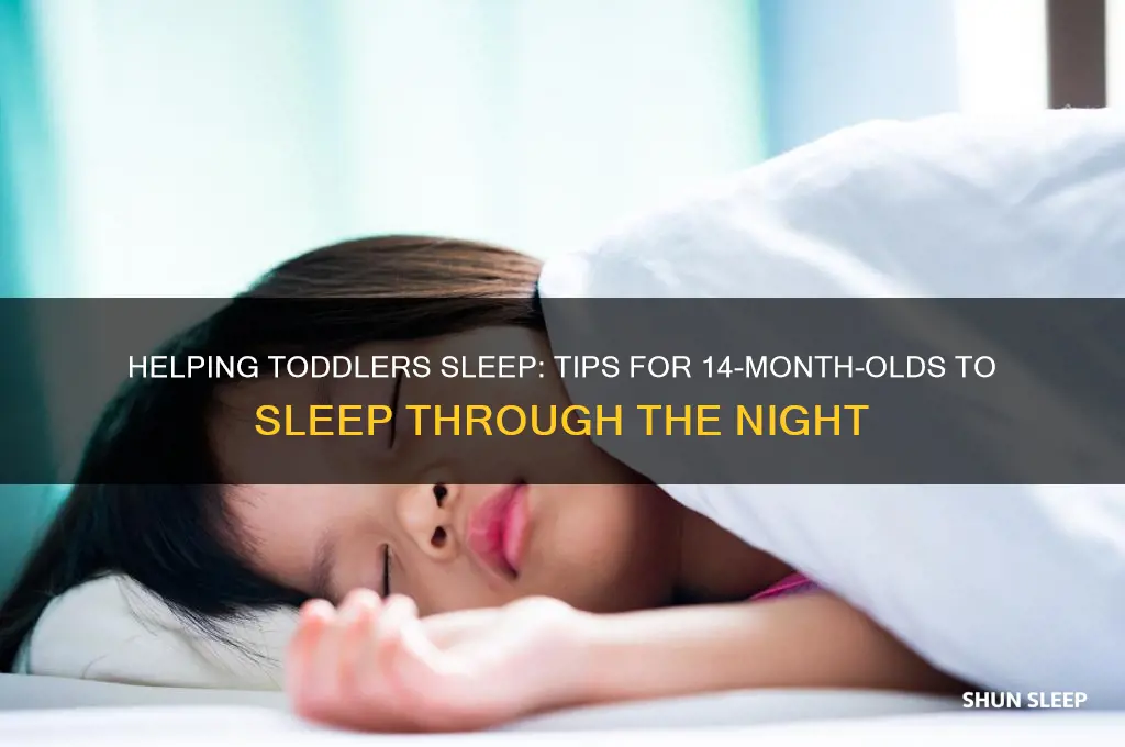 how to help 14 month old sleep through the night