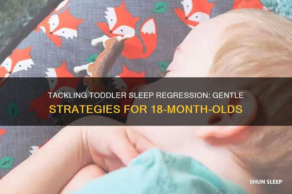 how to help 18 month old sleep regression