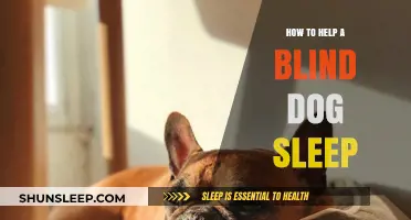 Helping Blind Dogs Sleep: Tips for a Peaceful Rest