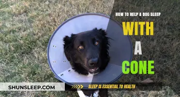 Comfortable Cone Nights: Tips to Help Your Dog Sleep Peacefully