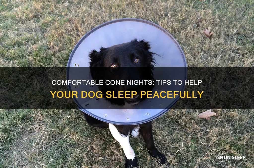 how to help a dog sleep with a cone