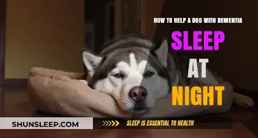Soothing Nights: Helping Your Dog with Dementia Sleep Peacefully