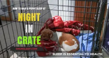 Crate Training Tips: Helping Your Puppy Sleep Peacefully Through the Night