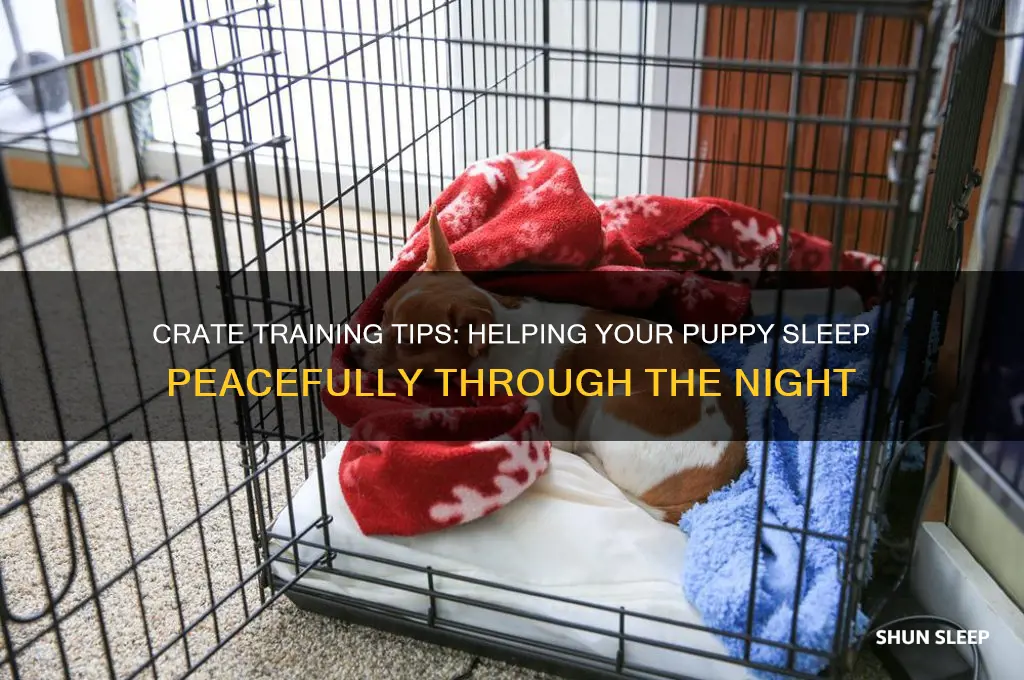 how to help a puppy sleep at night in crate