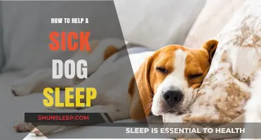 Comforting Your Sick Dog: Tips for Restful Sleep and Recovery