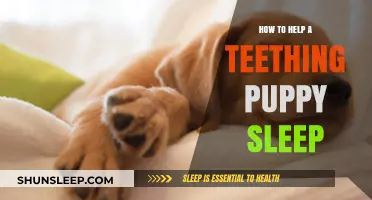 Soothing Teething Puppies: Tips for a Peaceful Night's Sleep