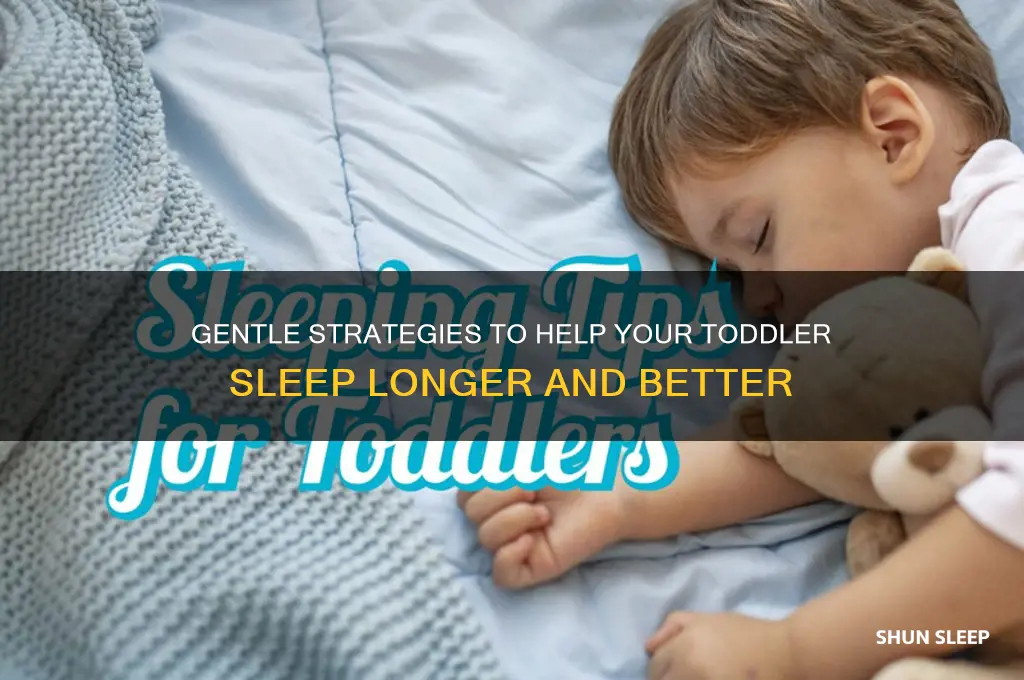 how to help a toddler sleep in