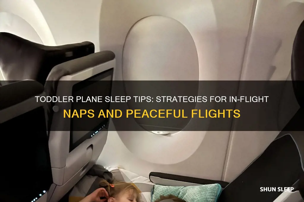 how to help a toddler sleep on a plane