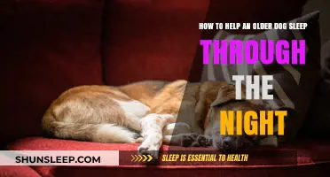 Helping Senior Dogs Sleep: Tips for Peaceful Nights