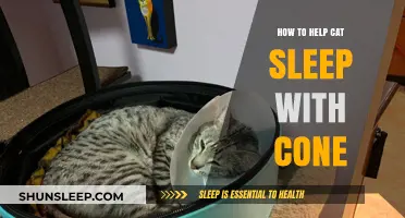 Helping Your Cat Sleep Comfortably with a Cone: Tips and Tricks