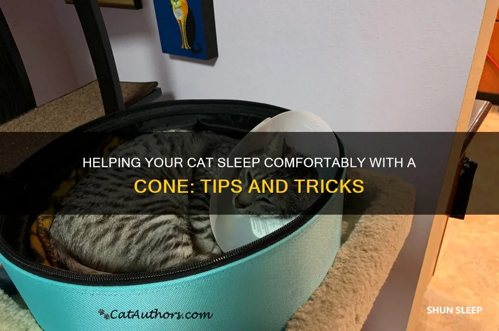 how to help cat sleep with cone
