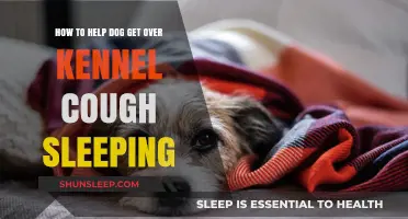 Soothing Kennel Cough: Tips for Helping Your Dog Sleep Peacefully