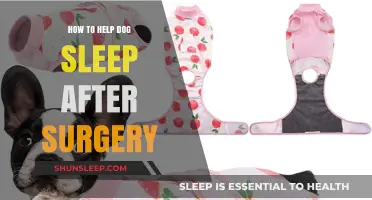 Post-Surgery Comfort: Tips to Help Your Dog Sleep Peacefully