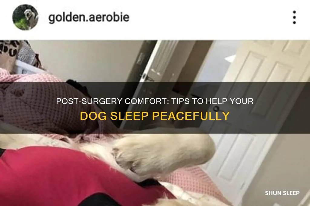 how to help dog sleep after surgery