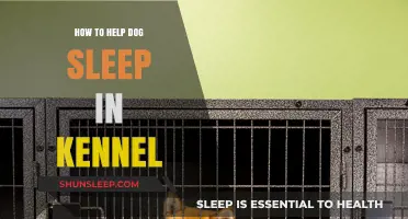 Tips for Helping Your Dog Sleep Comfortably in Their Kennel
