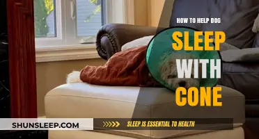 Helping Your Dog Sleep Comfortably with a Cone: Tips and Tricks