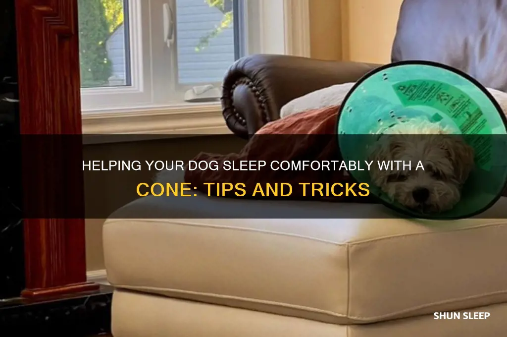 how to help dog sleep with cone